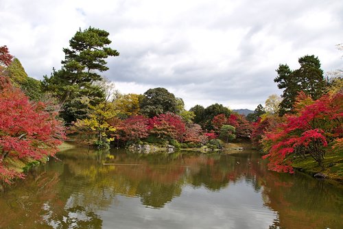 japan  kyoto  sentou