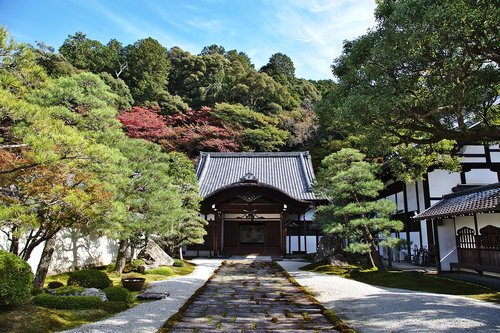 japan  kyoto  autumn