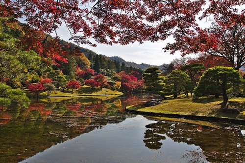 japan  kyoto  park