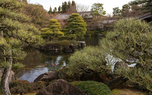 japan  himeji  garden