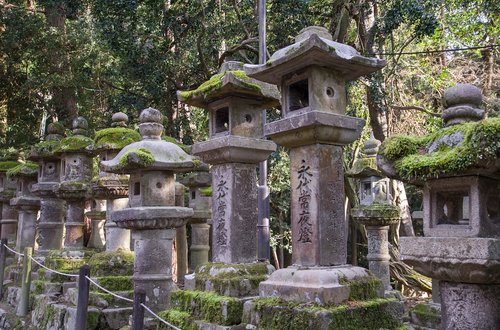 japan  nara  lantern