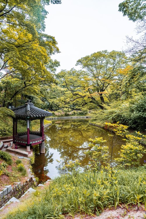 japan  garden  travel