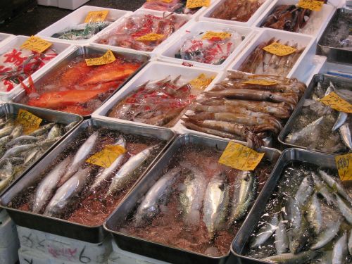 japan tokyo fish