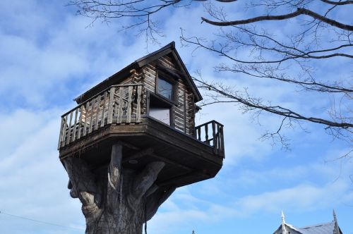 japan hokkaido in tree house