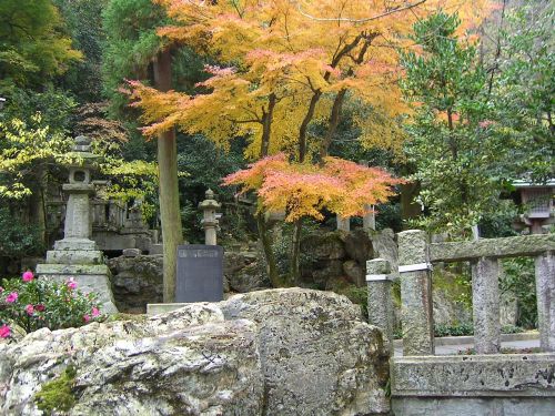 japan autumn landscape