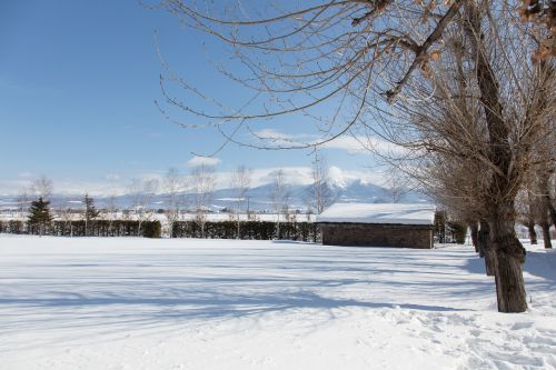 japan hokkaido scene