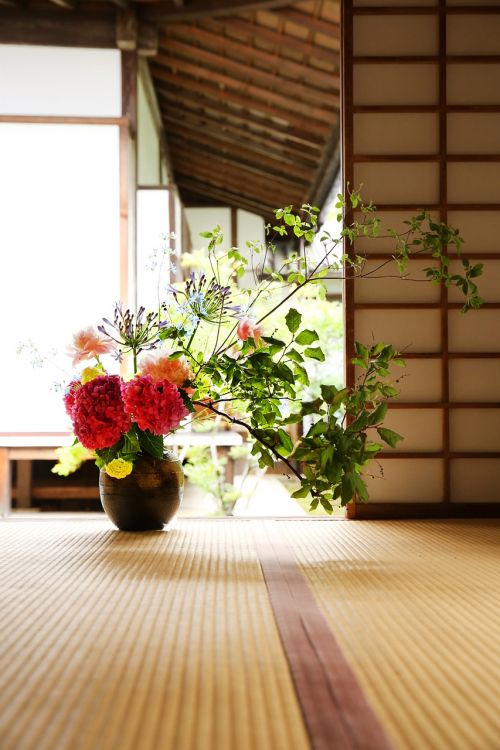 japan culture buddhist temple flower arrangement