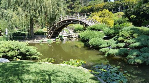 japanese garden zen