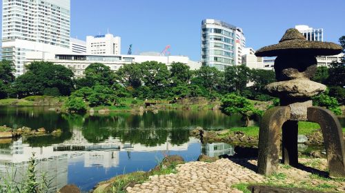 japanese tokyo garden
