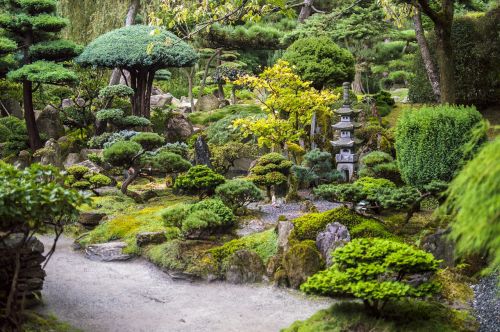 japanese garden stomečky