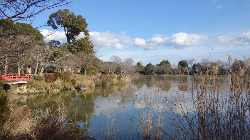 japanese grounds kyoto