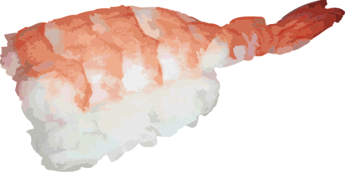 japanese sushi asian
