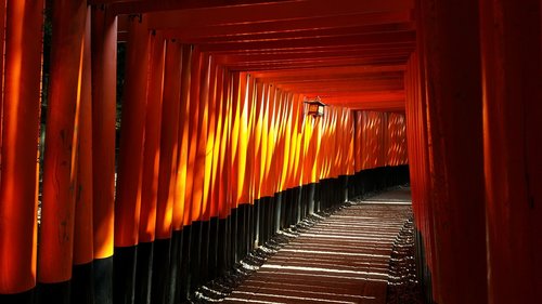 japanese  fushimi inari  shrine