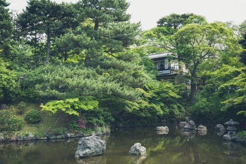 japanese garden house