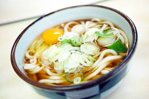 japanese food japan food udon noodles