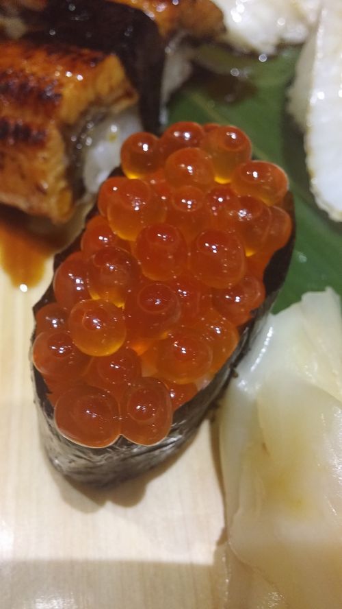 japanese food sushi food