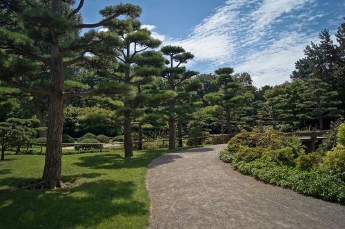 japanese garden trees rest