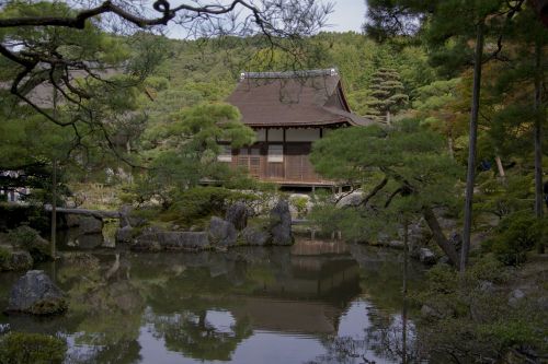 japanese garden japan temple