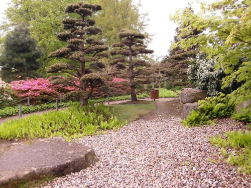 japanese garden garden away