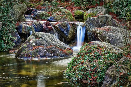 japanese garden  bonn  waters