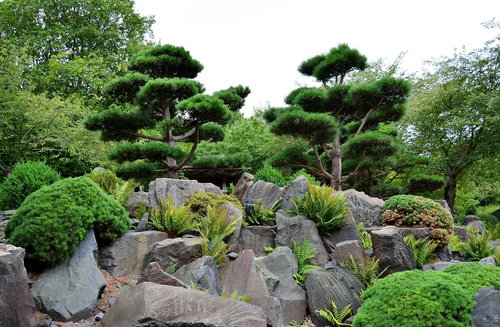 japanese garden  rock  thuringia germany