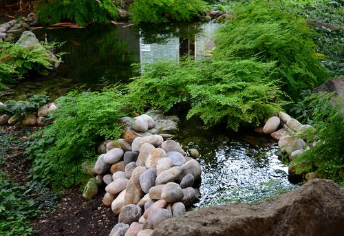 japanese garden  water landscape  stones