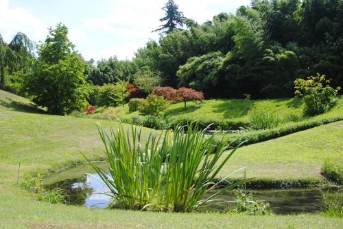 japanese garden nature landscape