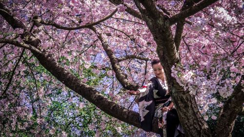 japanese girl kimono woman