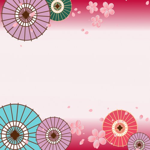 japanese umbrella  sakura blossom  cherry blossom
