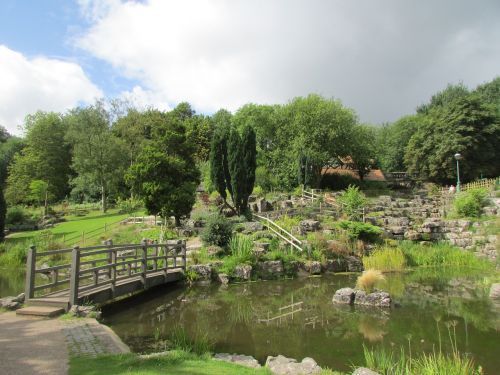 jappanese garden lake nature