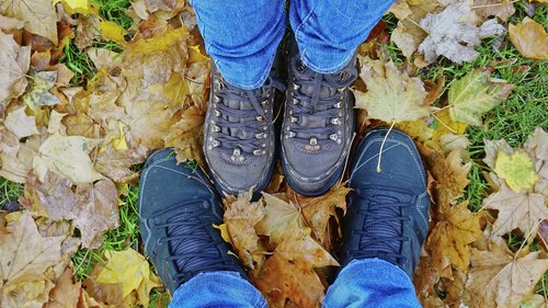 jeans  isolated  shoe