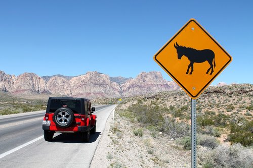 jeep  wrangler  car