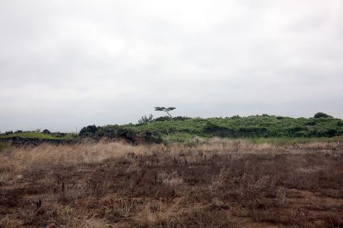 jeju coastal road jeju island in and enjoy