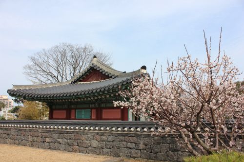 jeju island kwan duck jung korea