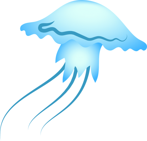 jellyfish sea blue