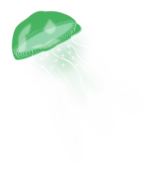 jellyfish sea green