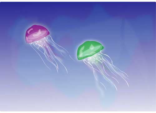 jellyfish tentacles swimming