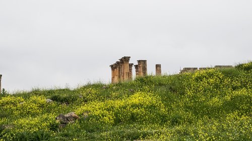 jerash  ruins  jordan