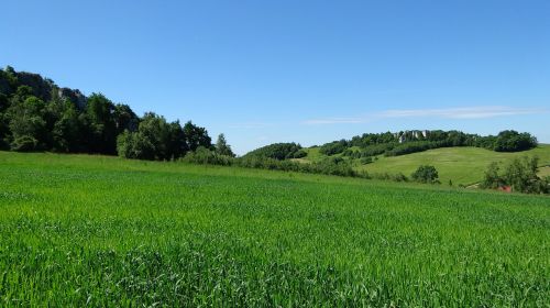 jerzmanowice poland landscape