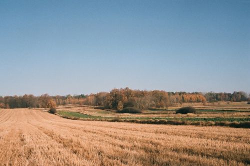 Autumn, November