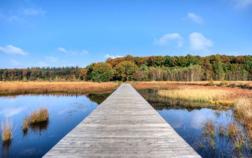 jetty autumn fall