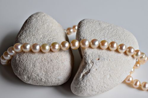 jewelry pearls necklace