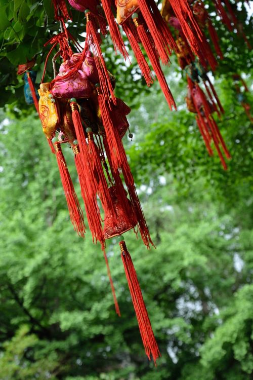 jin-li wish tree red
