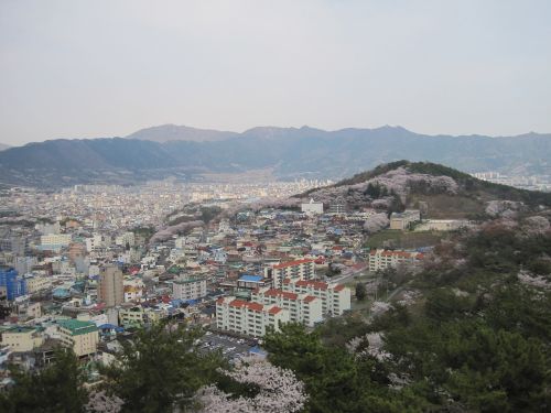 jinhae city south korea mountains