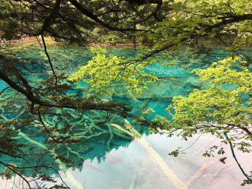 jiuzhaigou sichuan the scenery