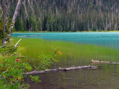joffre lake british columbia canada