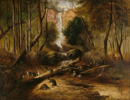 john prout waterfall forest