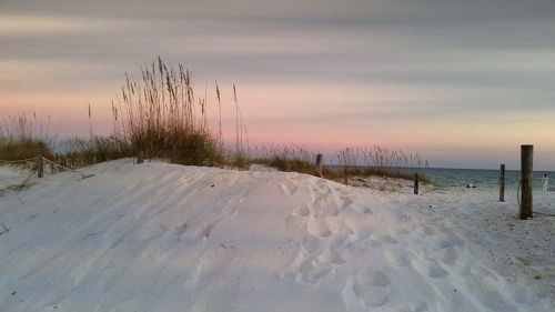 johnson's beach beach florida