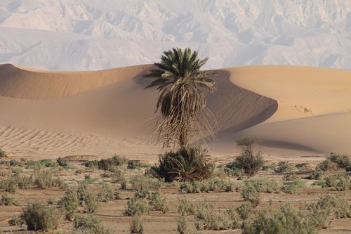 jordan  travel  desert