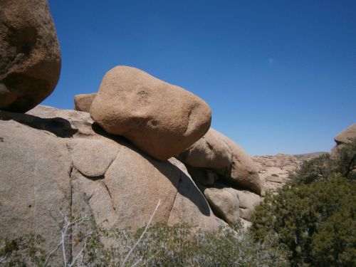 joshua tree rock desert